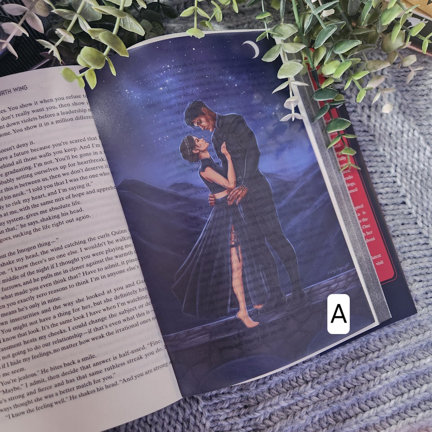 Fourth Wing Page Overlays: Iron Flame Release Party