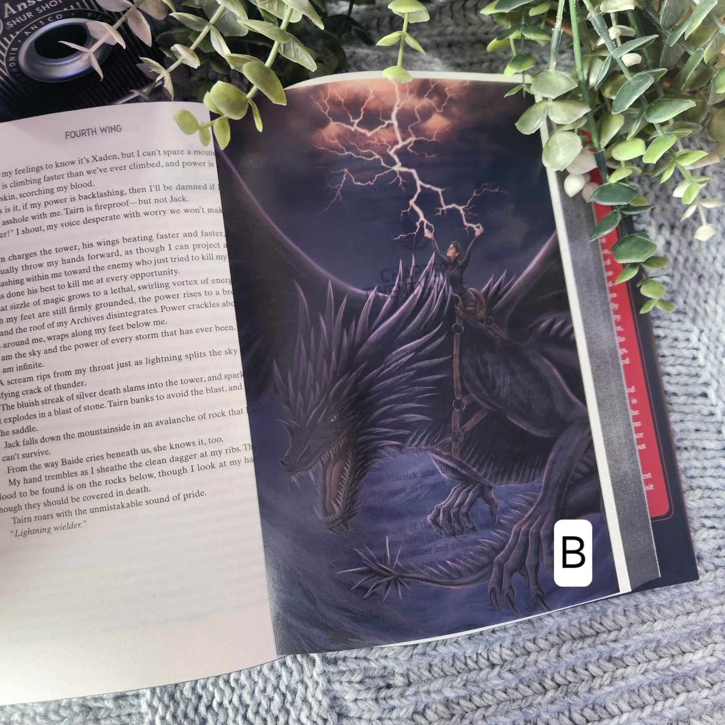 Fourth Wing Page Overlays: Iron Flame Release Party