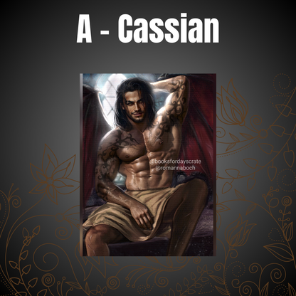 Blanket Preorder Sale