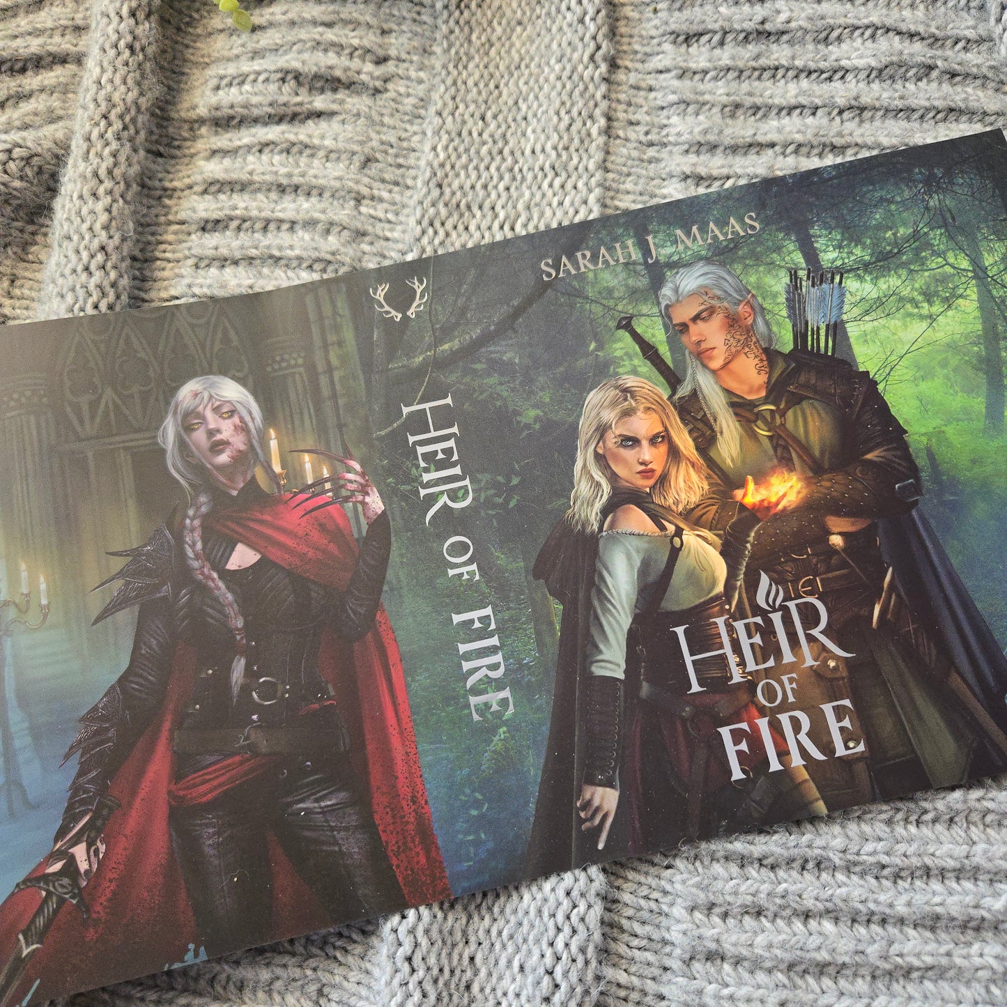 MISPRINTS Throne of Glass Dust Jackets