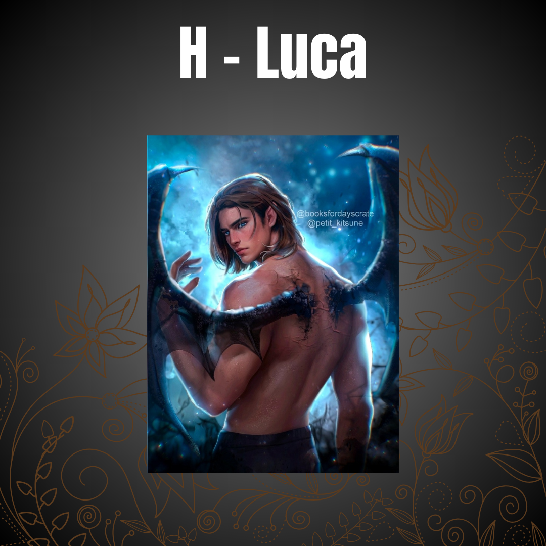 Blanket Preorder Sale