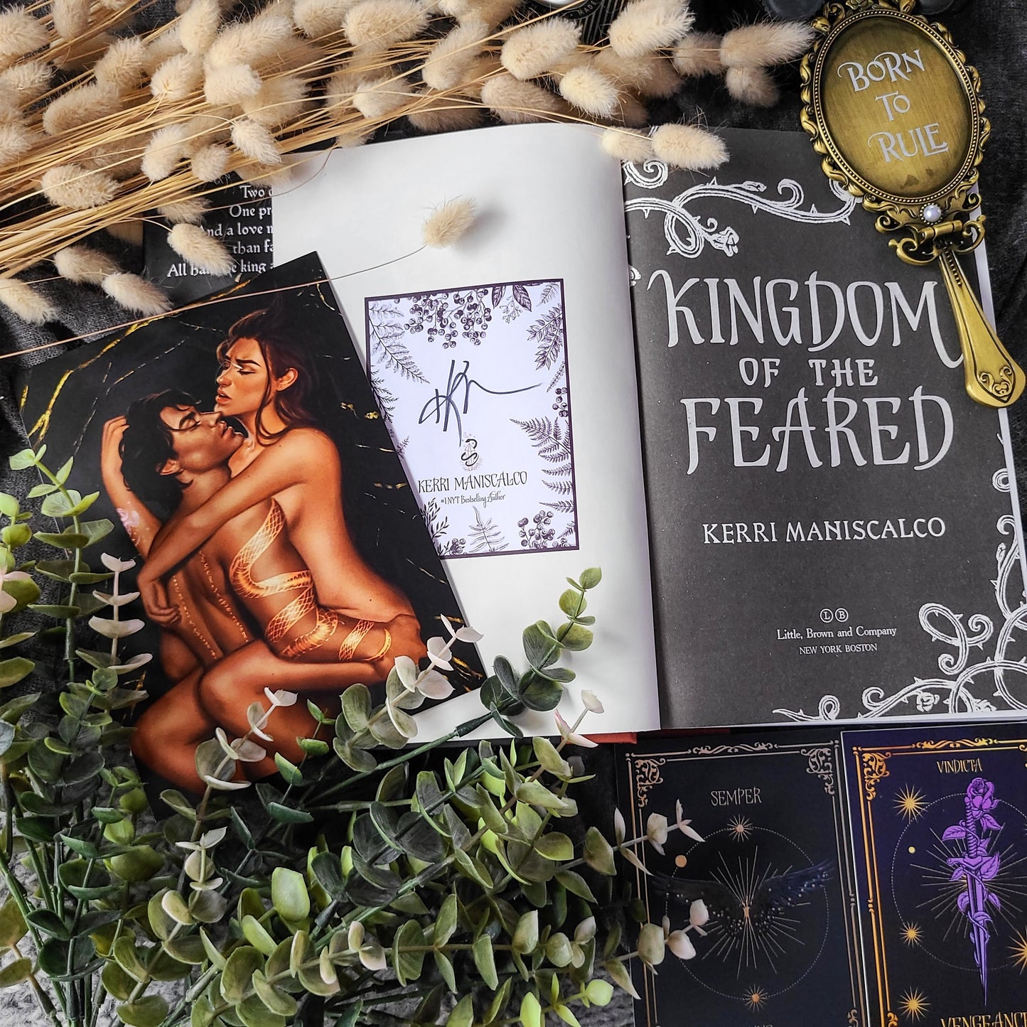 Passion and Sin: Kingdom of the Wicked