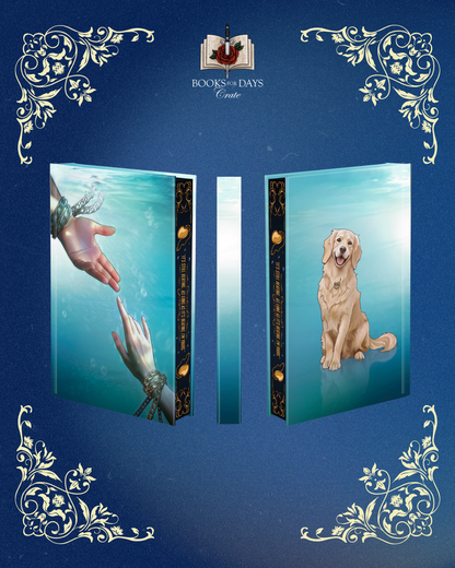 *UNSIGNED* PREORDER Jennifer Hartmann Box
