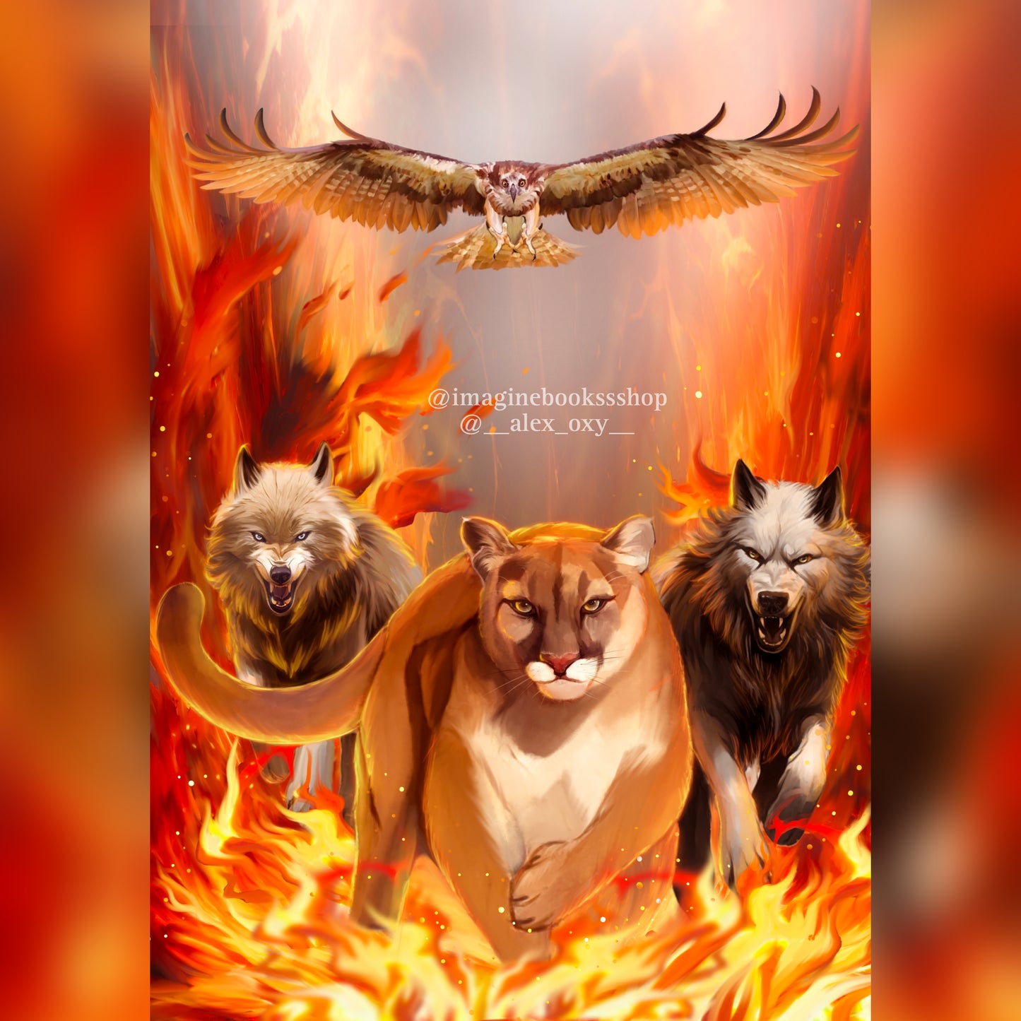 Heir of Fire Page Overlays